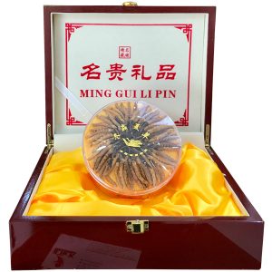 Đông trùng hạ thảo Tây Tạng thiên nhiên nguyên con 20g